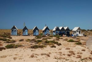 Au départ de Faro : Circuit en catamaran sur 2 îles et 2 arrêts à la Ria Formosa