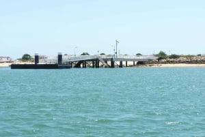 Au départ de Faro : Circuit en catamaran sur 2 îles et 2 arrêts à la Ria Formosa