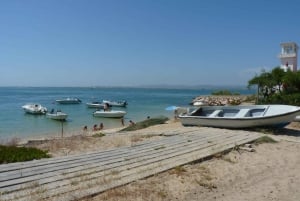 From Faro: 2-Island, 2-Stop Ria Formosa Catamaran Tour