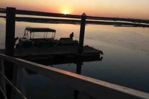 Au départ de Faro : Circuit en catamaran sur 2 îles et 2 arrêts à la Ria Formosa