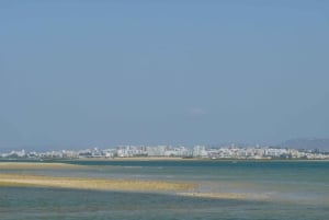 From Faro: 2-Island, 2-Stop Ria Formosa Catamaran Tour