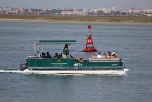 From Faro: 2-Island, 2-Stop Ria Formosa Catamaran Tour