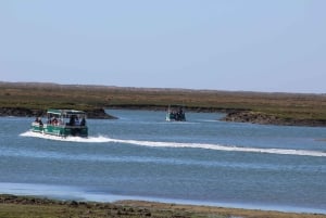 From Faro: 2-Island, 2-Stop Ria Formosa Catamaran Tour