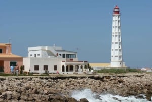 From Faro: 2-Island, 2-Stop Ria Formosa Catamaran Tour