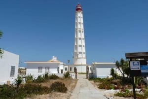 From Faro: 2-Island, 2-Stop Ria Formosa Catamaran Tour