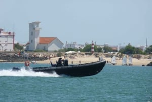 From Faro: 2-Island, 2-Stop Ria Formosa Catamaran Tour