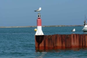 From Faro: 2-Island, 2-Stop Ria Formosa Catamaran Tour