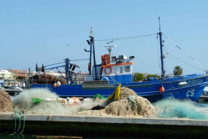 From Faro: 4 Stops, 3 Islands in Ria Formosa Catamaran Tour