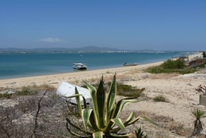 Från Faro: 4 stopp, 3 öar i Ria Formosa Katamaran Tour