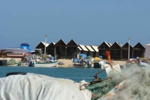 Vanuit Faro: 4 stops, 3 eilanden in Ria Formosa Catamaran Tour