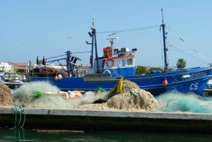 Da Faro: tour in catamarano di 4 tappe e 3 isole di Ria Formosa