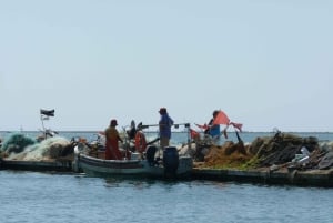 Da Faro: tour in catamarano di 4 tappe e 3 isole di Ria Formosa