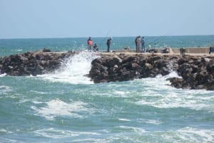 Da Faro: tour in catamarano di 4 tappe e 3 isole di Ria Formosa