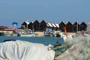 Da Faro: tour in catamarano di 4 tappe e 3 isole di Ria Formosa