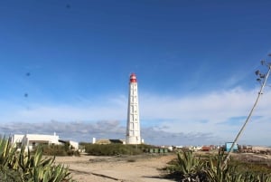 Da Faro: tour in catamarano di 4 tappe e 3 isole di Ria Formosa