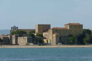 Da Faro: tour in catamarano di 4 tappe e 3 isole di Ria Formosa