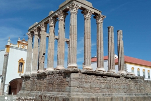 From Faro: 8-Day Tour of Portugal