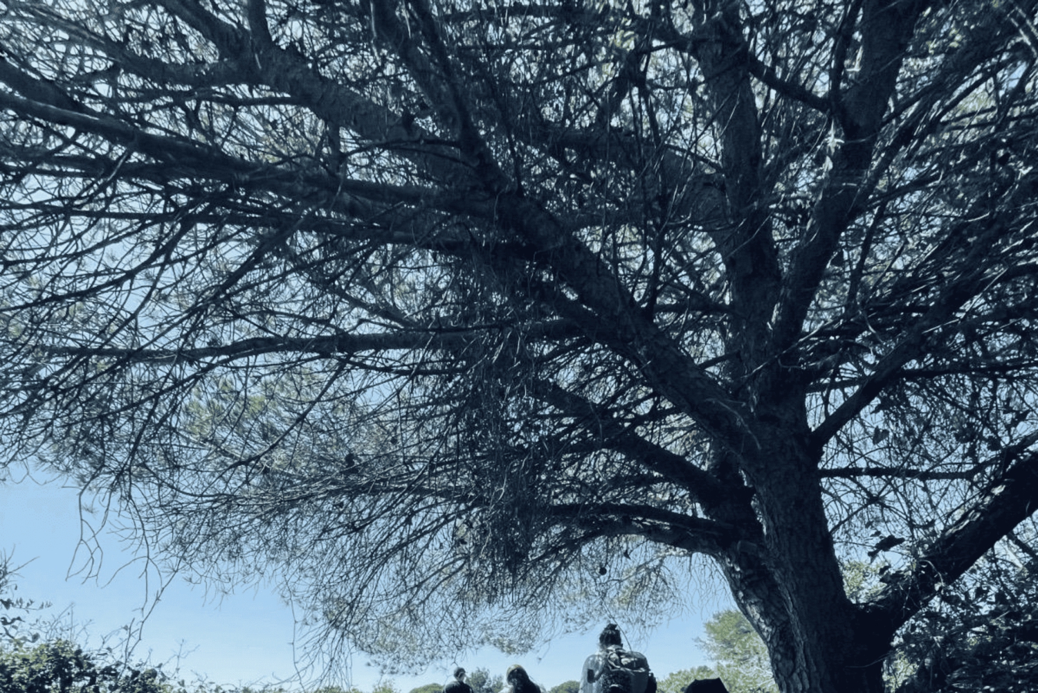 From Faro: Benagil, Algar Seco, and Marinha Adventure Tour