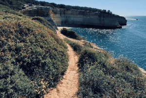 Von Faro aus: Benagil, Algar Seco, Praia Marinha, 7-Täler-Tour