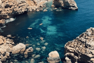 Von Faro aus: Benagil, Algar Seco, Praia Marinha, 7-Täler-Tour