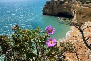 Da Faro: Tour della Grotta di Benagil e delle Sette Valli Pensili