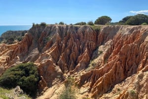 Da Faro: Tour della Grotta di Benagil e delle Sette Valli Pensili