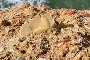 Da Faro: Tour della Grotta di Benagil e delle Sette Valli Pensili