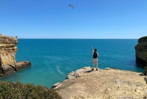 Da Faro: Tour della Grotta di Benagil e delle Sette Valli Pensili