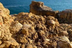 Da Faro: Tour della Grotta di Benagil e delle Sette Valli Pensili