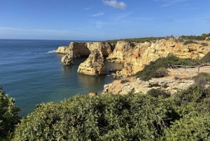 Fra Faro: Benagil-hulen, Marinha og Carvoeiro heldagstur