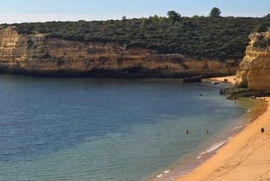 From Faro: Boat trip to Benagil Cave & Praia da Marinha