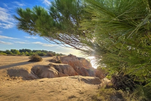 Från Faro: Vandra till Benagils klippor och upplev fyra skatter