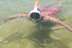 Från Faro: Vandra till Benagils klippor och upplev fyra skatter