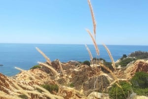 Från Faro: Vandra till Benagils klippor och upplev fyra skatter