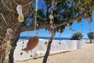 Från Faro: Vandra till Benagils klippor och upplev fyra skatter