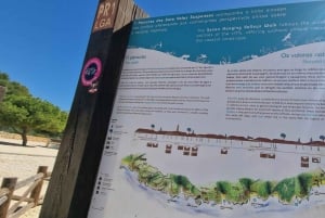 Från Faro: Vandra till Benagils klippor och upplev fyra skatter