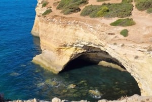 Från Faro: Vandra till Benagils klippor och upplev fyra skatter