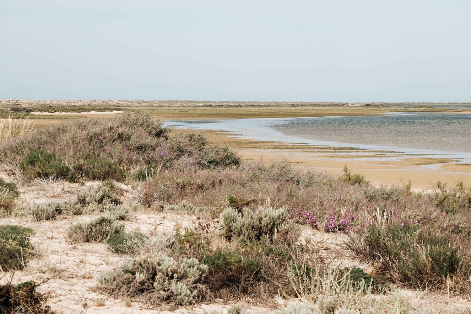 Ab Faro: Katamaranfahrt zur Ilha Deserta mit Zwischenstopp