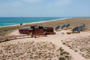 From Faro: Catamaran Boat Trip to Deserta Island with Stop