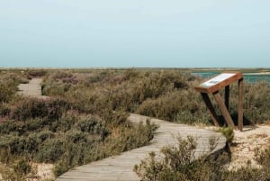 From Faro: Catamaran Boat Trip to Deserta Island with Stop