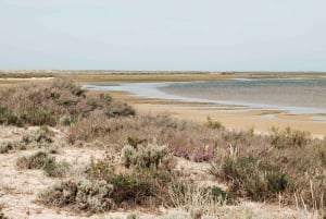 From Faro: Catamaran Boat Trip to Deserta Island with Stop