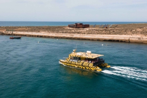 Ab Faro: Katamaranfahrt zur Ilha Deserta mit Zwischenstopp