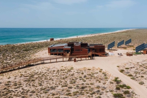 Ab Faro: Katamaranfahrt zur Ilha Deserta mit Zwischenstopp