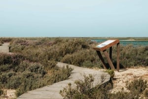 Ab Faro: Katamaranfahrt zur Ilha Deserta mit Zwischenstopp