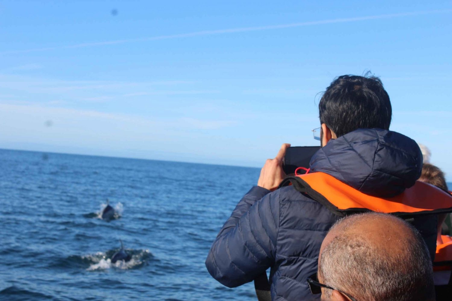 From Faro: Dolphin Watching & 2 Islands Tour