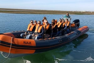 From Faro: Dolphin Watching & 2 Islands Tour