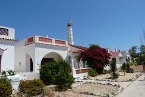 From Faro: Dolphin Watching & 2 Islands Tour