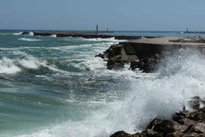 From Faro: Dolphin Watching & 2 Islands Tour