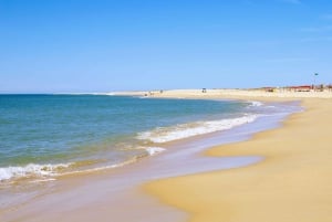 From Faro: Dolphin Watching & 2 Islands Tour