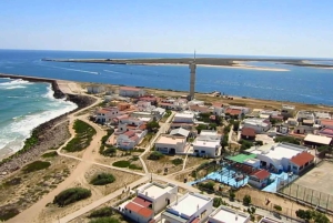 From Faro: Dolphin Watching & 2 Islands Tour